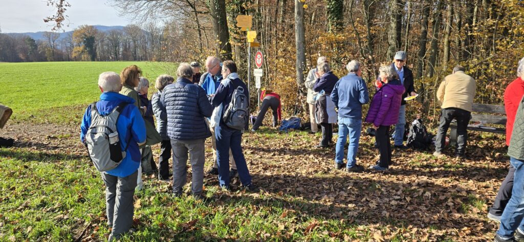 November-Wanderung 2025